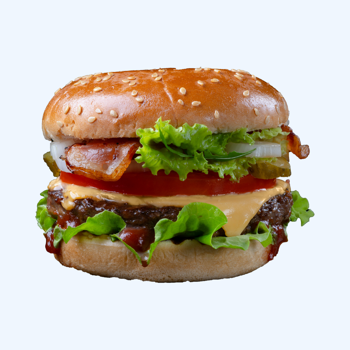 Double Layer Juicy Chicken Burger