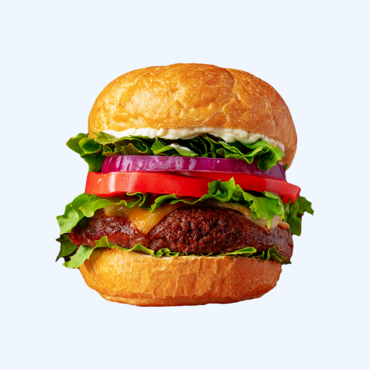 Spicy Meat Ball Burger